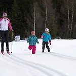 Otel Vedig 4*