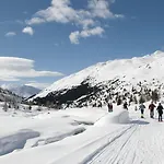Vedig
