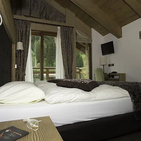 Hotel Vedig 4*